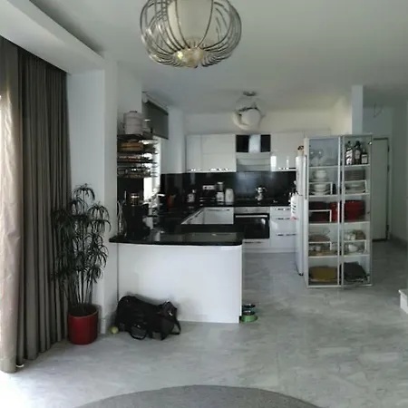 Pruva Gundogan Bodrum